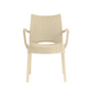 Rattan Armchair